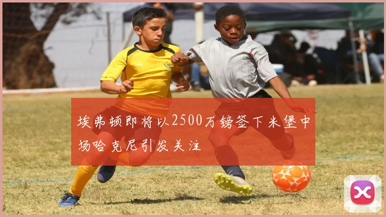 埃弗顿即将以2500万镑签下米堡中场哈克尼引发关注